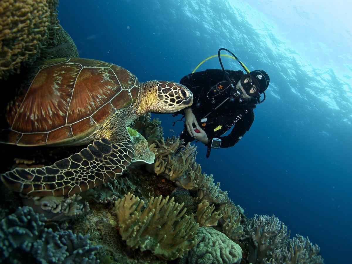 דאווין Liquid Dive Resort מראה חיצוני תמונה